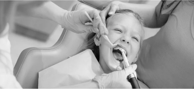 Areas Served Trinity, FL - My Harmony Smiles