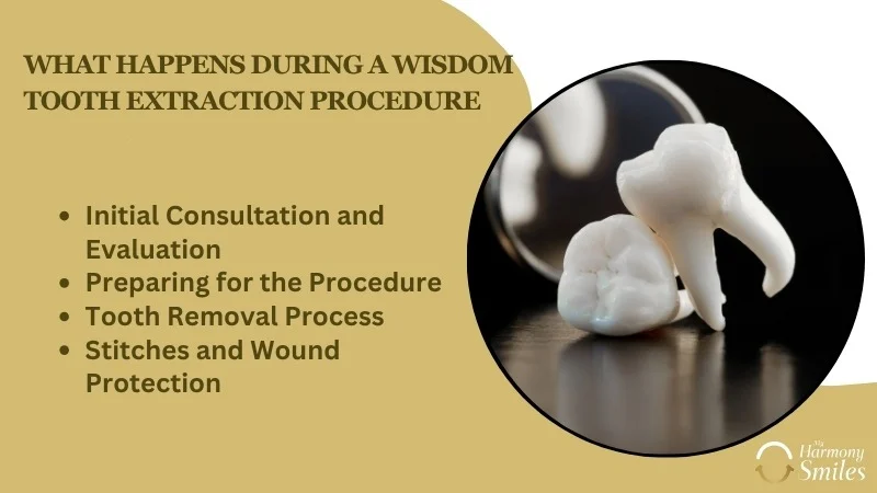 What Happens During a Wisdom Tooth Extraction Procedure