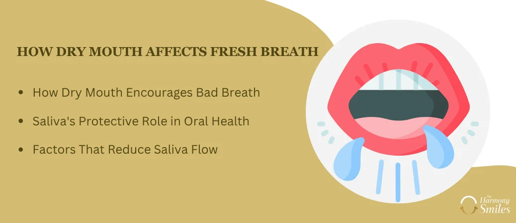 Dry Mouth, Saliva Flow, and Their Impact on Fresh Breath