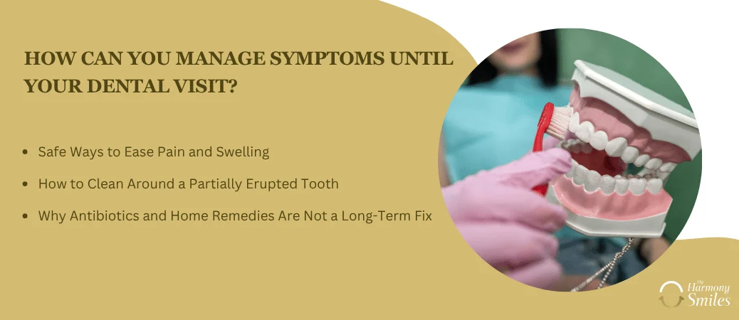 What Can You Do Until Your Dental Appointment