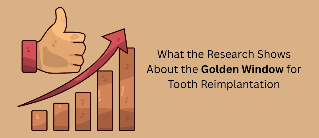 Thumbs-up and rising bar chart illustrating tooth reimplantation success rates